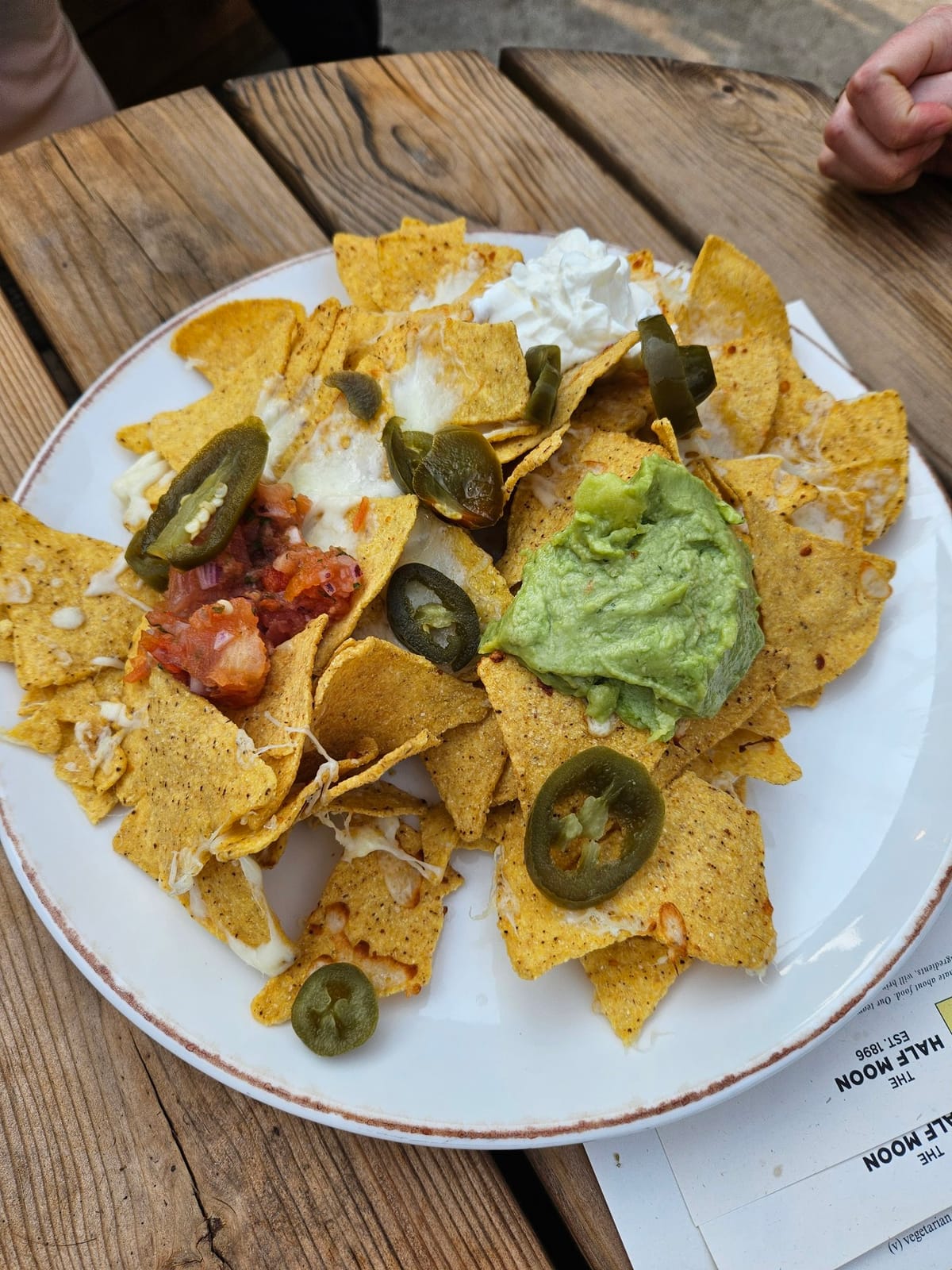 The Saddest Nachos